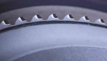      Segmetal   